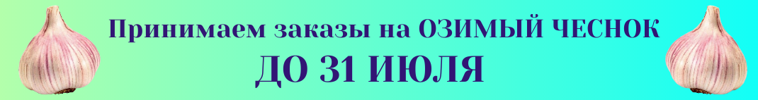 Предзаказ на ЧЕСНОК ГИГАНТ