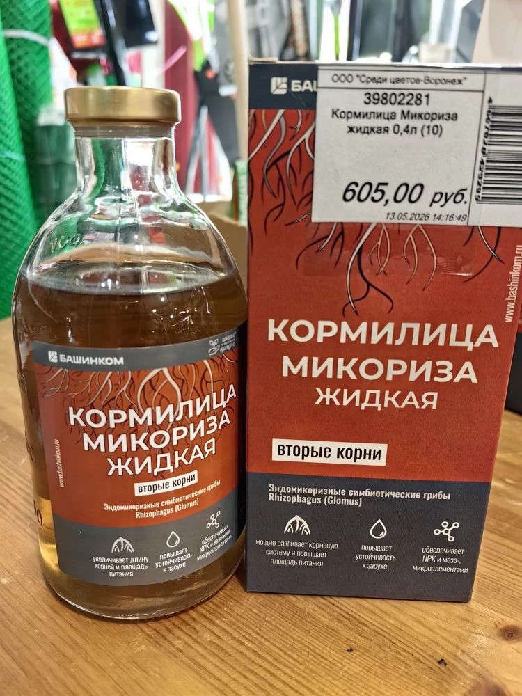 Кормилица Микориза. Вторые корни. Кормилица Микориза. Вторые корни.