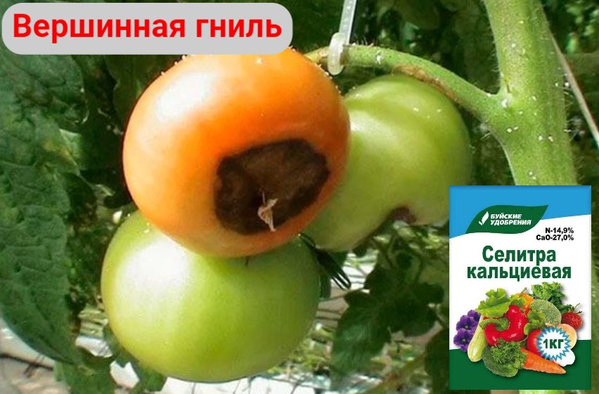 5.jpg 5.jpg