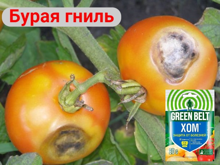 3.jpg 3.jpg